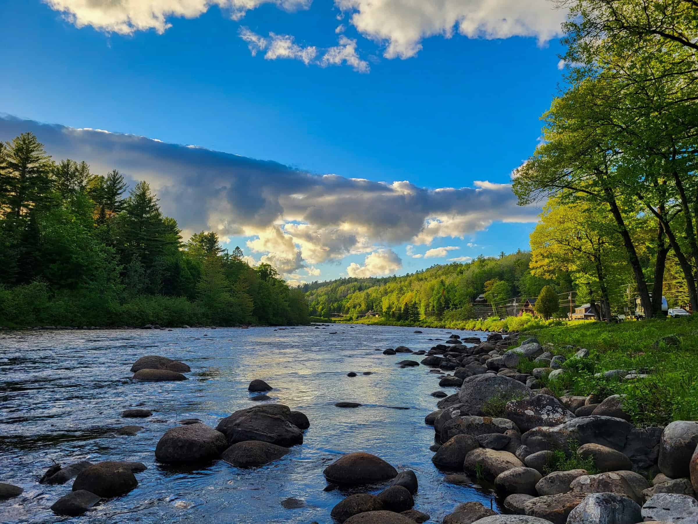 Scenic view of a rocky river flowing past a green forest under a blue sky